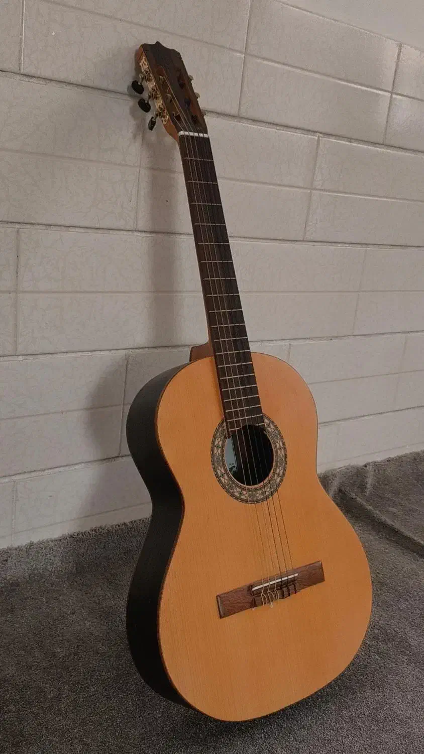 گیتار|گیتار، بیس، امپلیفایر|کازرون, |دیوار