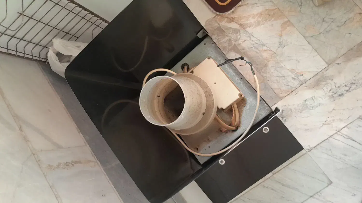 هود سالم|هود|اسلامشهر, زرافشان|دیوار