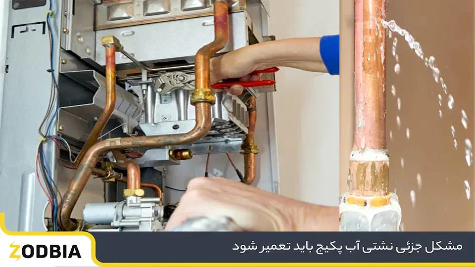 تعمیرات پکیج ماشین لباسشویی و ماشین ظرفشویی|خدمات پیشه و مهارت|کرمانشاه, |دیوار