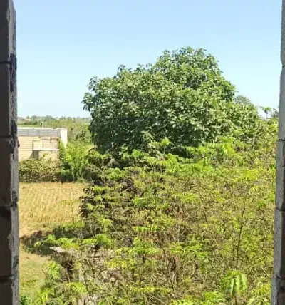 ۴۰۰ متر مسکونی با پروانه متری کاسبی|فروش زمین و ملک کلنگی|رضوانشهر, |دیوار