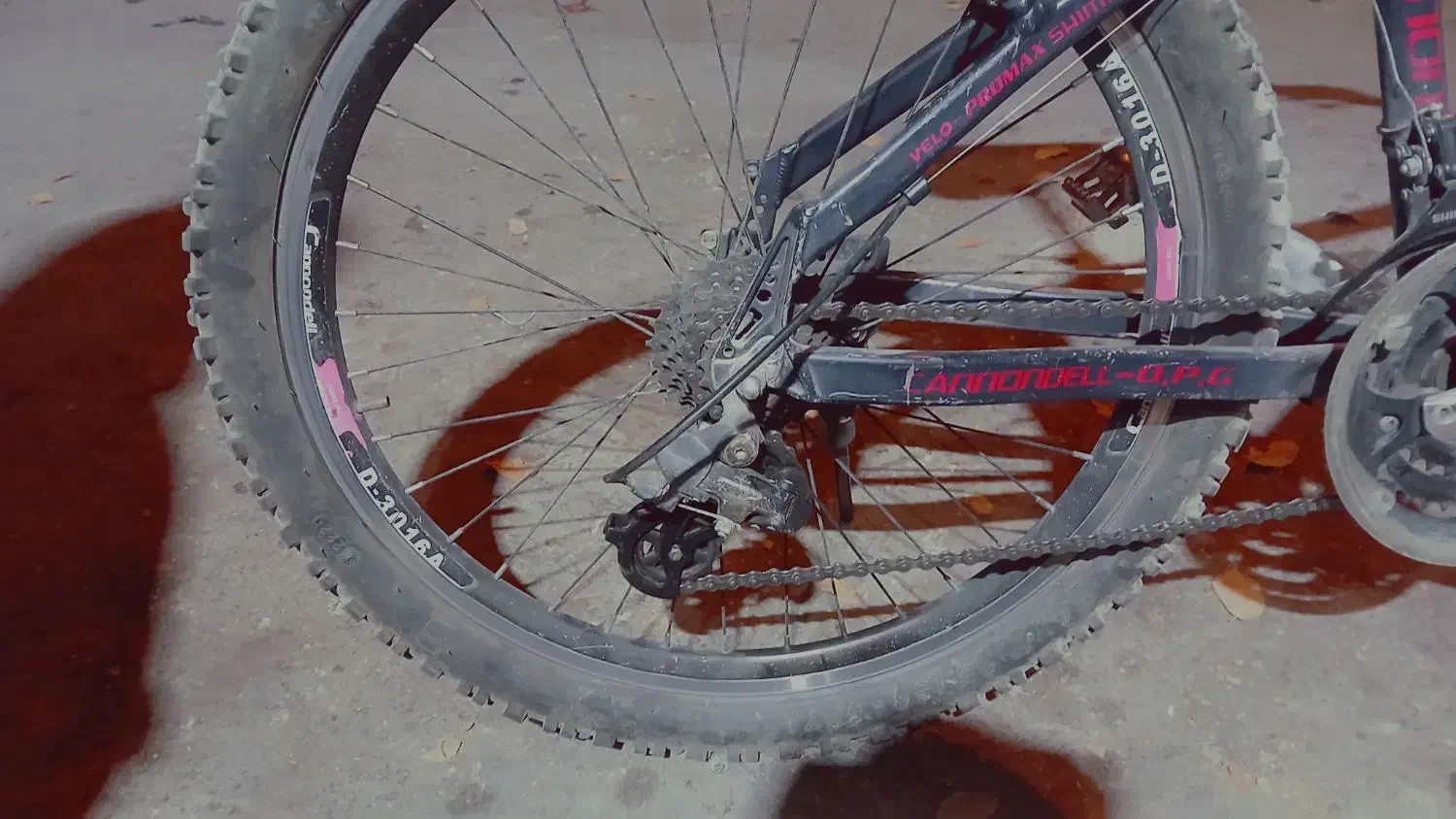 دوچر خه ۲۴|دوچرخه، اسکیت، اسکوتر|آباده, |دیوار