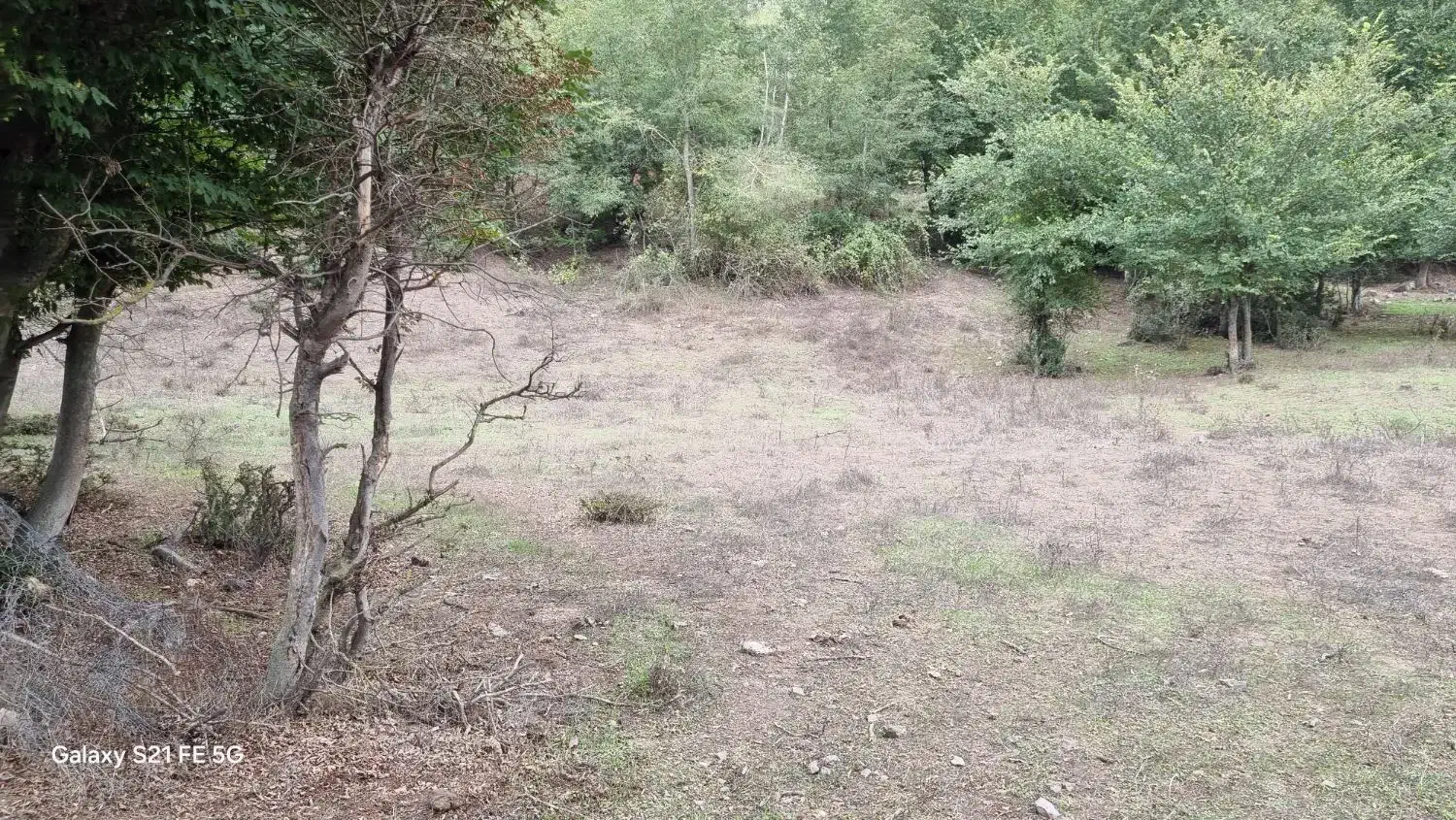 ۱۰۰۰متر زمین جیرمحله طالکوه جنگلی|فروش زمین و ملک کلنگی|برهسر, |دیوار