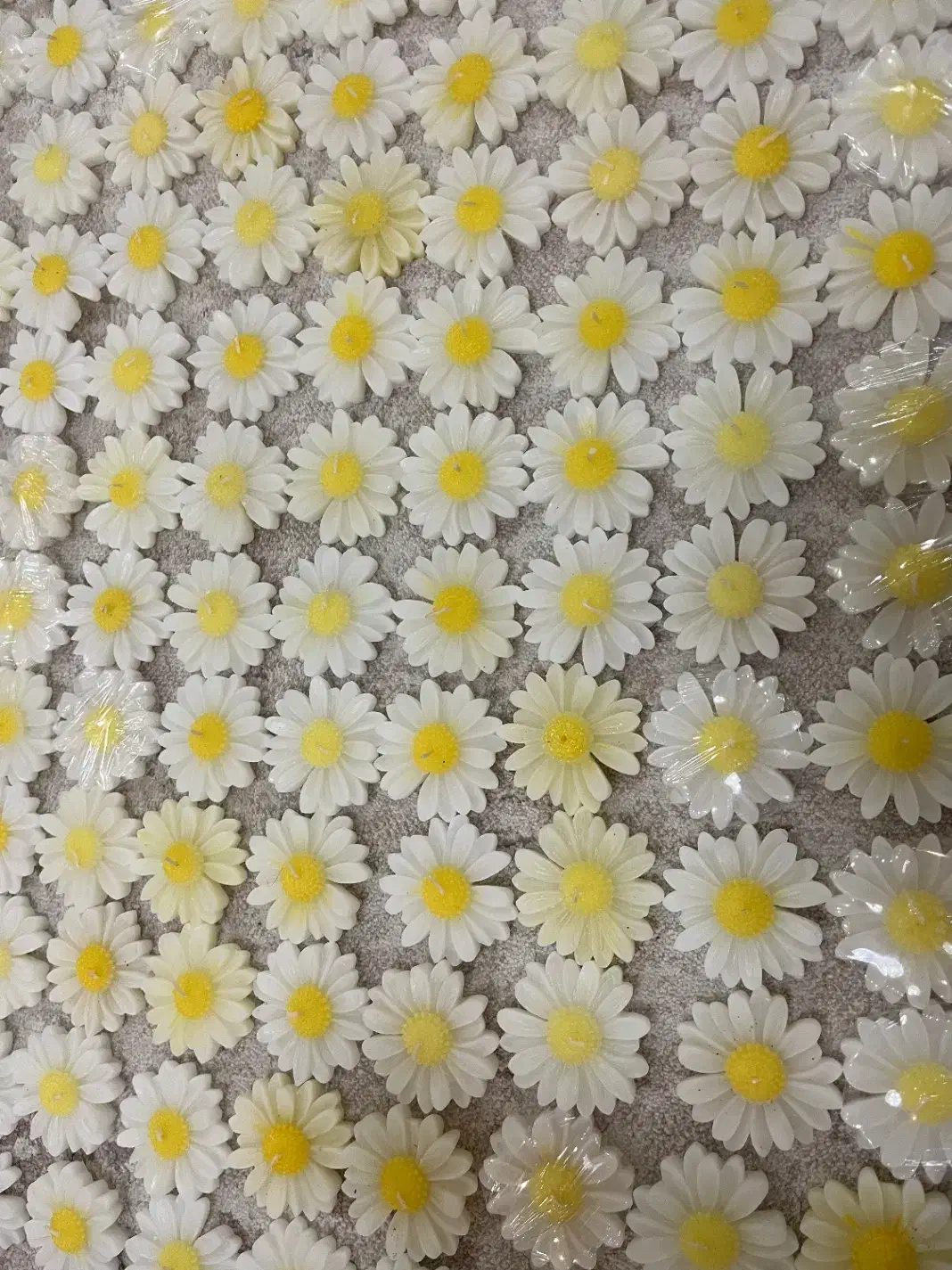 بابونه|صنایع دستی و سایر لوازم تزئینی|رشت, رودباری|دیوار