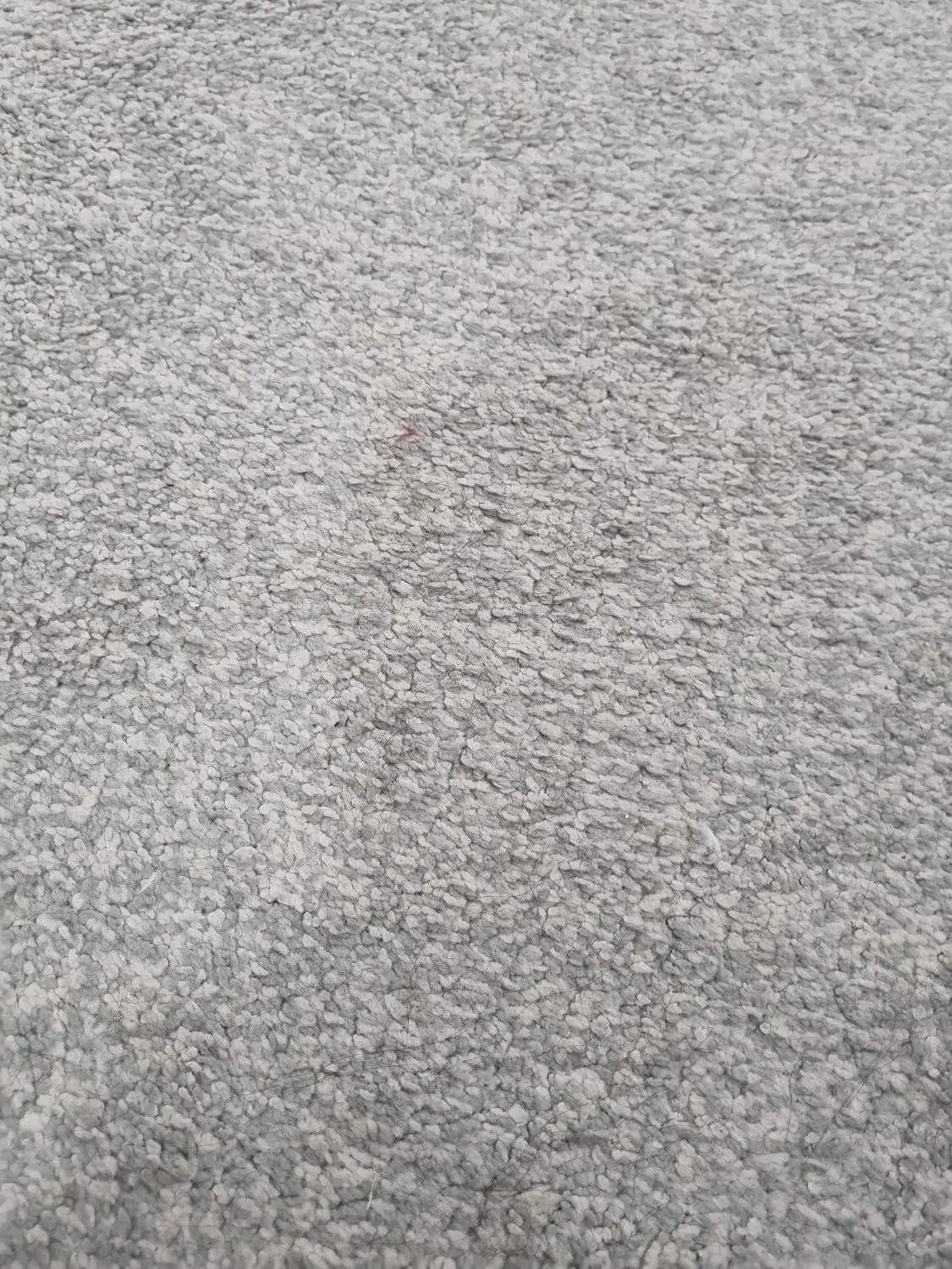 موکت|موکت|کرج, باغستان|دیوار