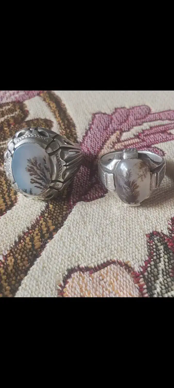 شجر|جواهرات|زنجان, |دیوار