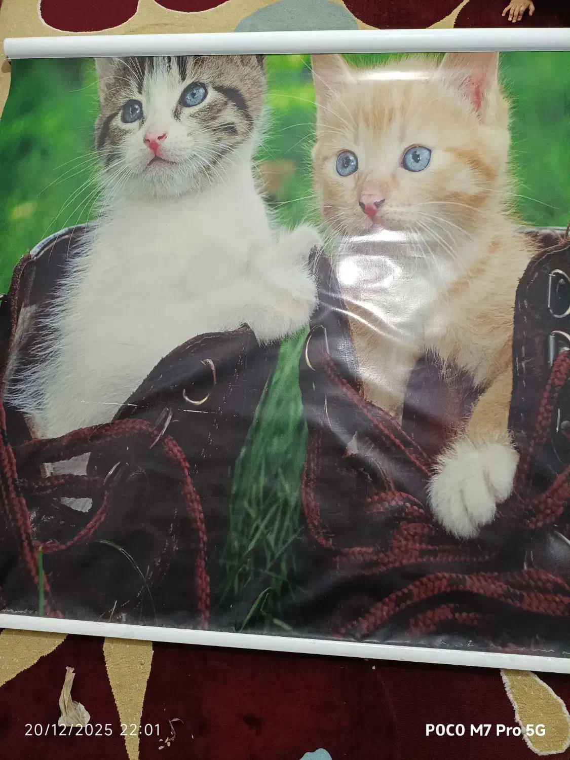 پرده کرکره ایی|پرده، رانر، رومیزی|خرمشهر, |دیوار