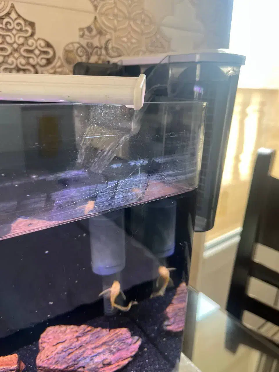 یک آکواریوم مدرن شیشه خم|ماهی|اسلامشهر, شهرک سعیدیه|دیوار