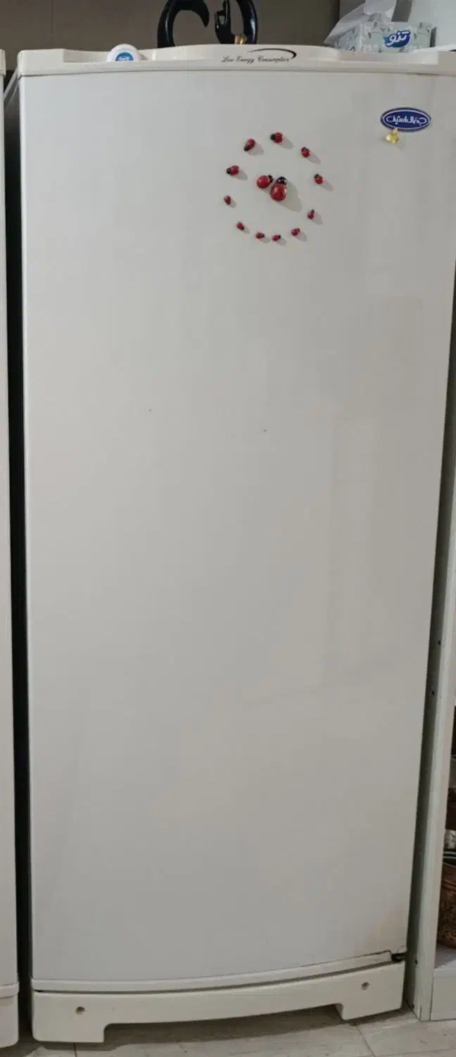 یخچال|یخچال و فریزر|رفسنجان, |دیوار