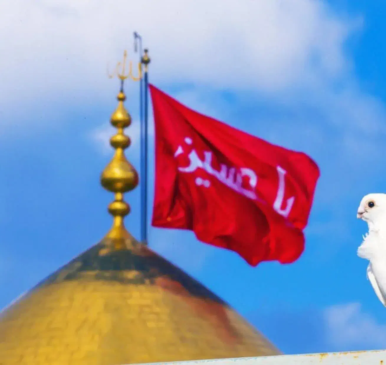 کیف ومدارک گمشده|اشیا|پرند, فاز ۵|دیوار