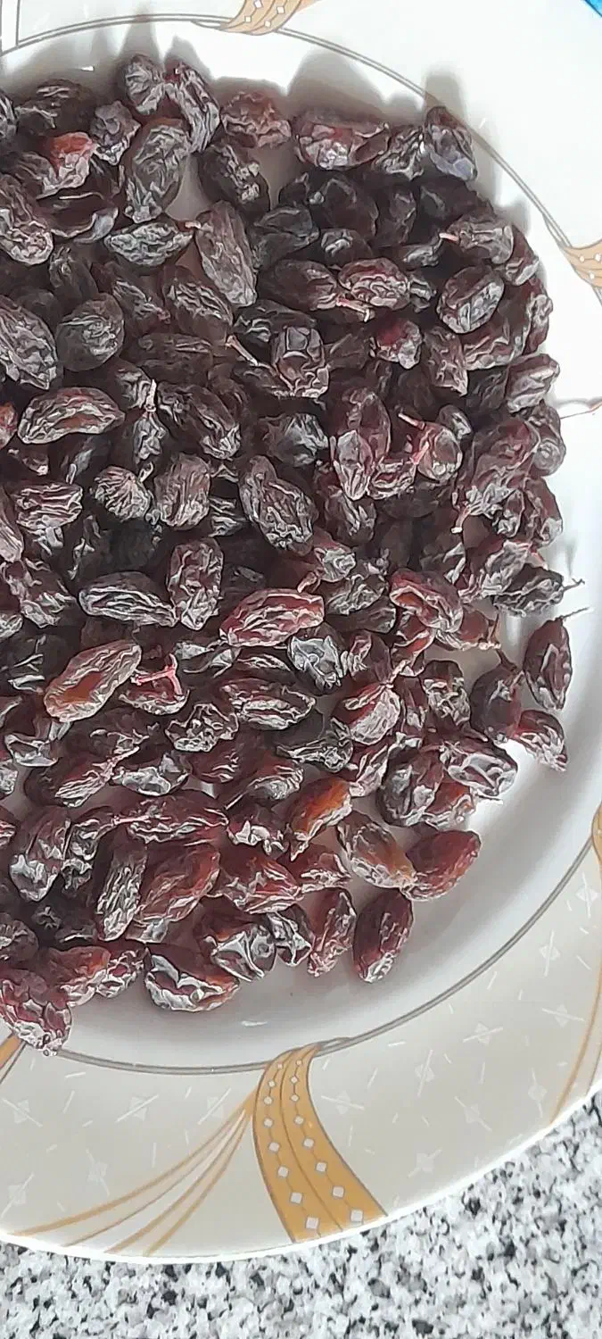 مویز برا تقویت حافظه|خوردنی و آشامیدنی|افشار, |دیوار