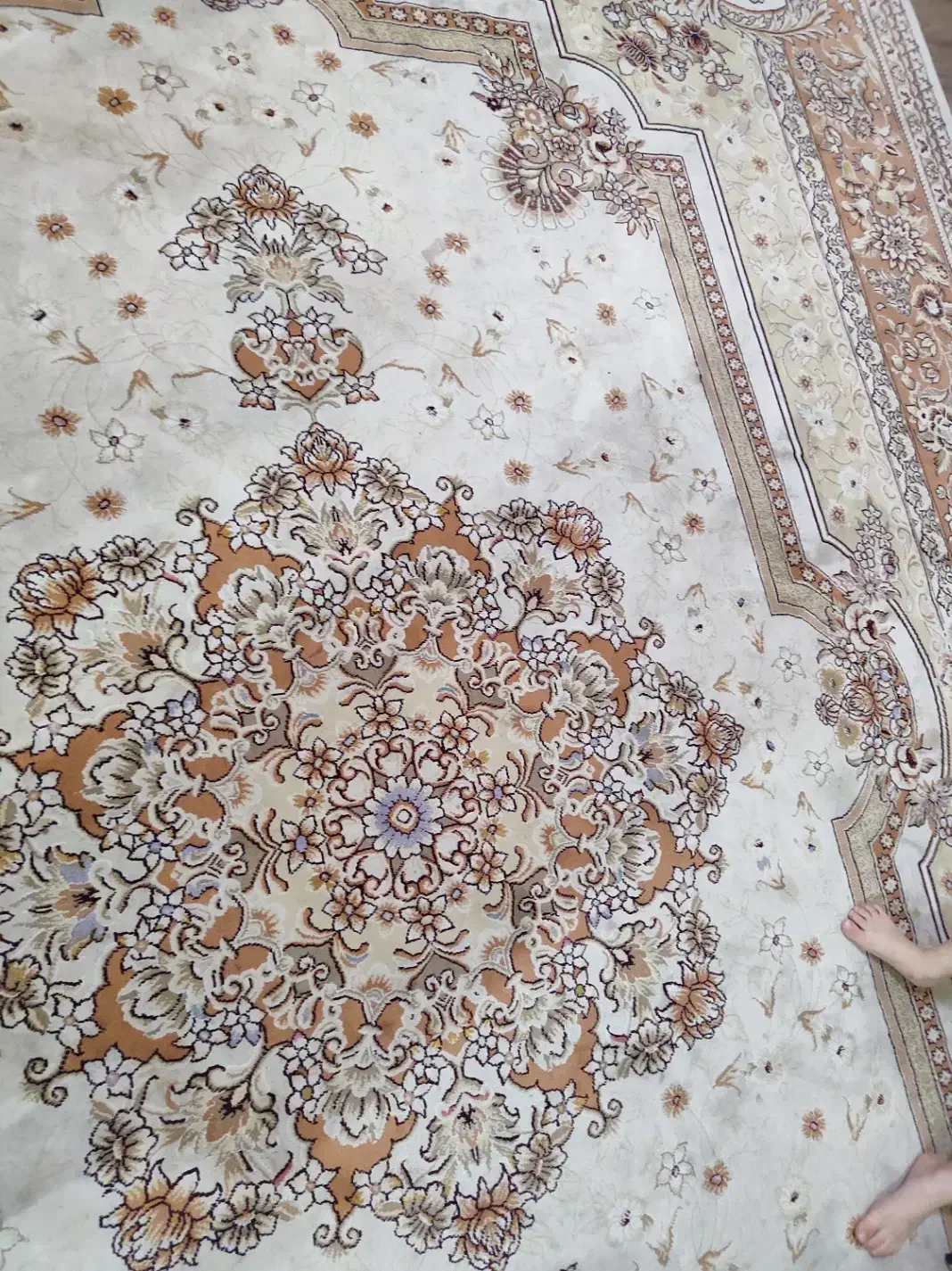 فرش 12متری|فرش|رشت, چمارسرا|دیوار