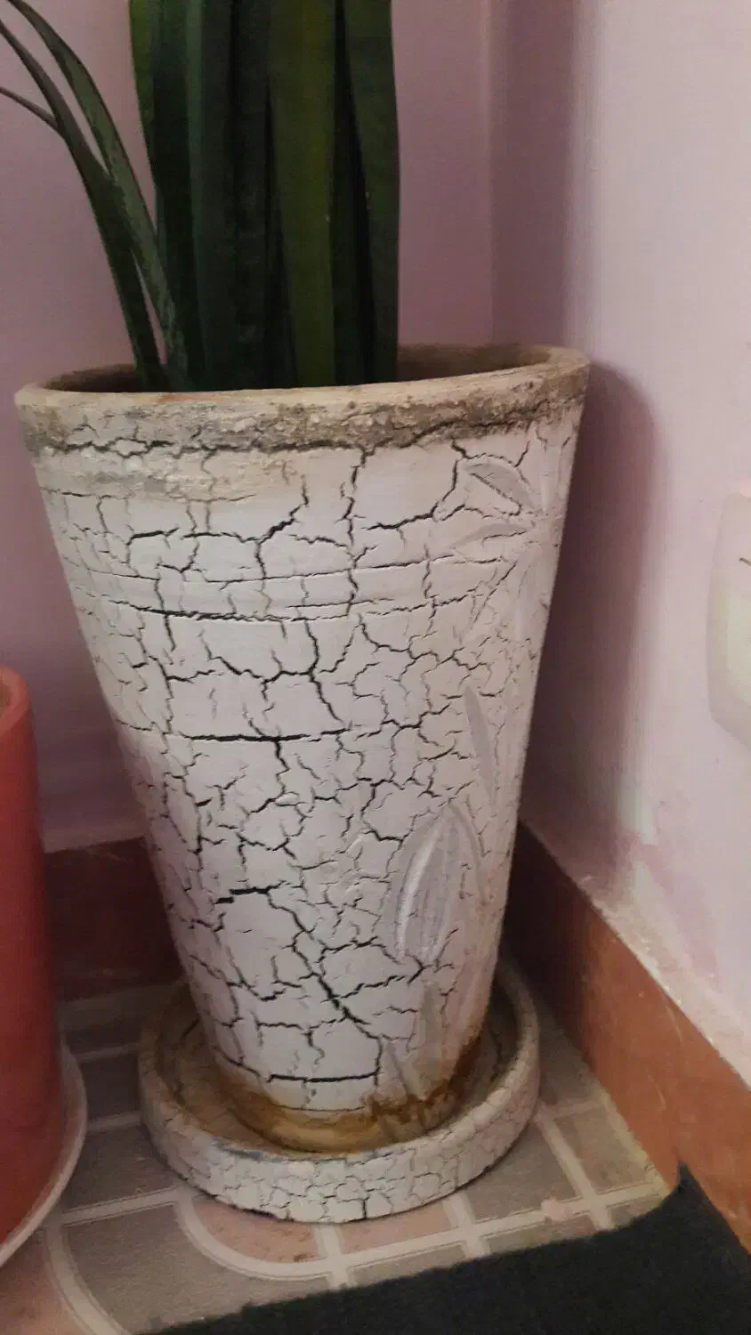 ۲ عدد گلدان سفالی|گل و گیاه طبیعی|صحنه, |دیوار