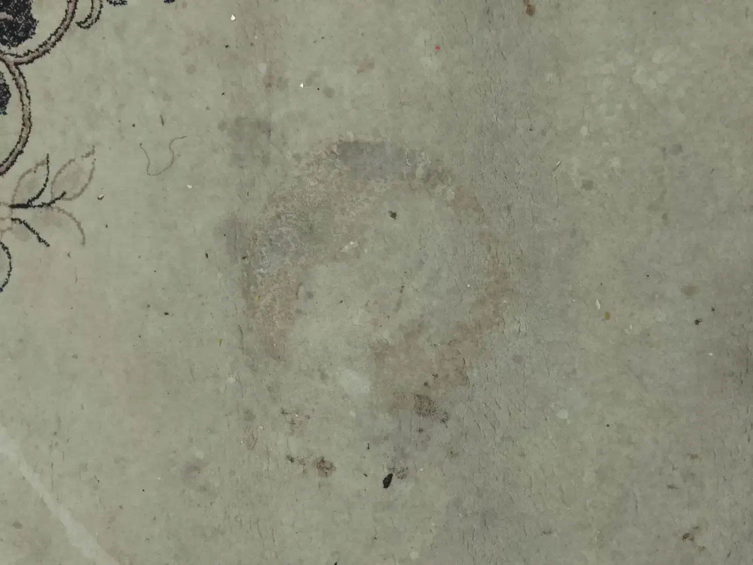 سه عد فرش ۶متری یکی از فرش ها جای قابلمه هست|فرش|مشهد, شهید آوینی|دیوار