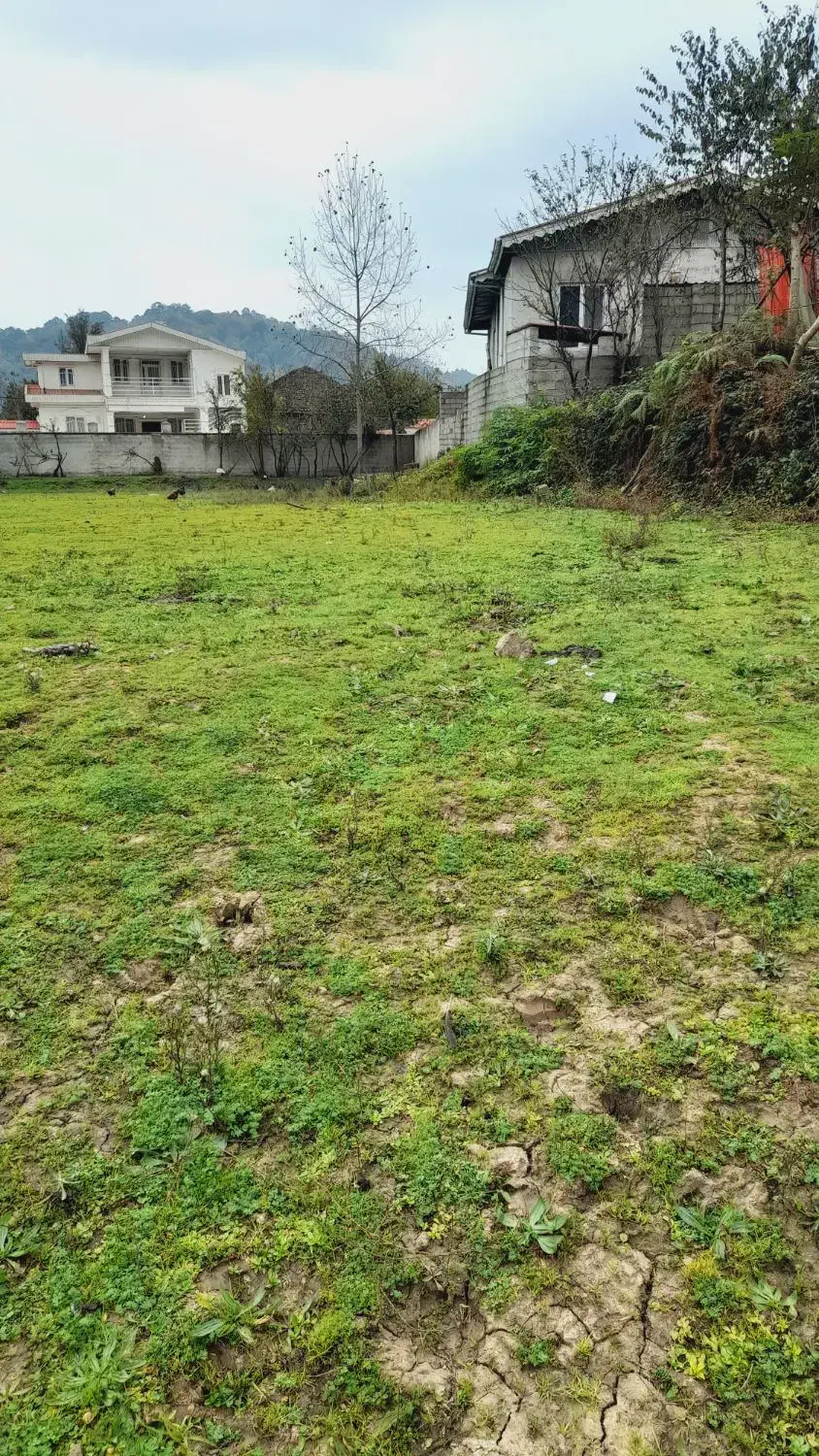 252متر/سندتکبرگ/برخیابان/استعلامات به روز|فروش زمین و ملک کلنگی|آستارا, |دیوار