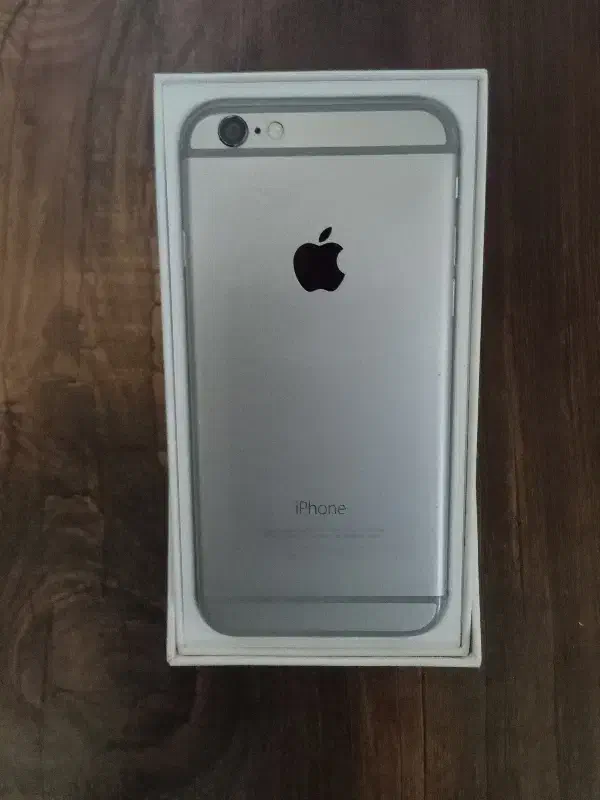 گوشی آیفون ۶|موبایل|ری, دولتآباد|دیوار