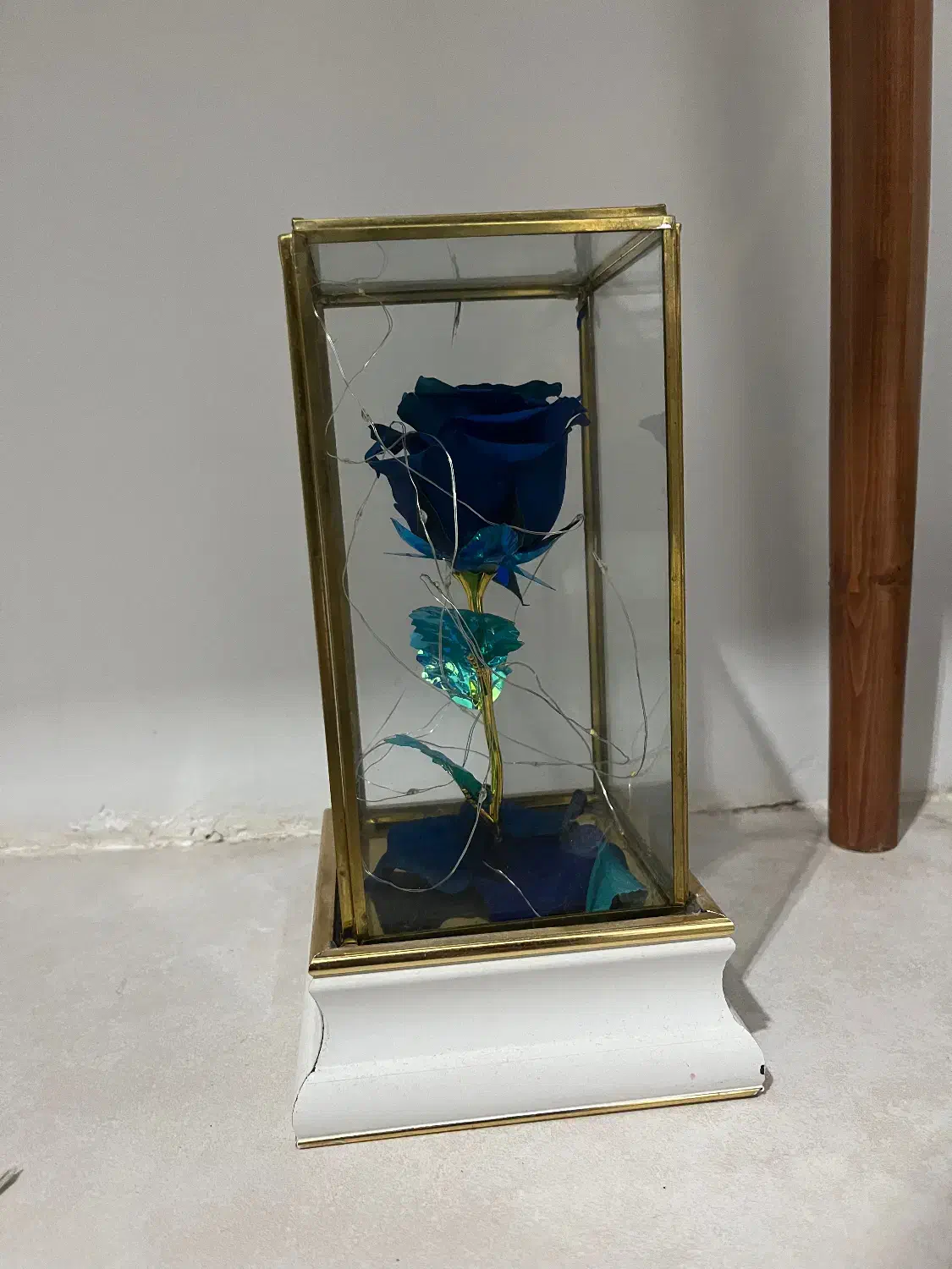 گل رز جاودان|گل و گیاه طبیعی|شیراز, شهرک ولیعصر|دیوار