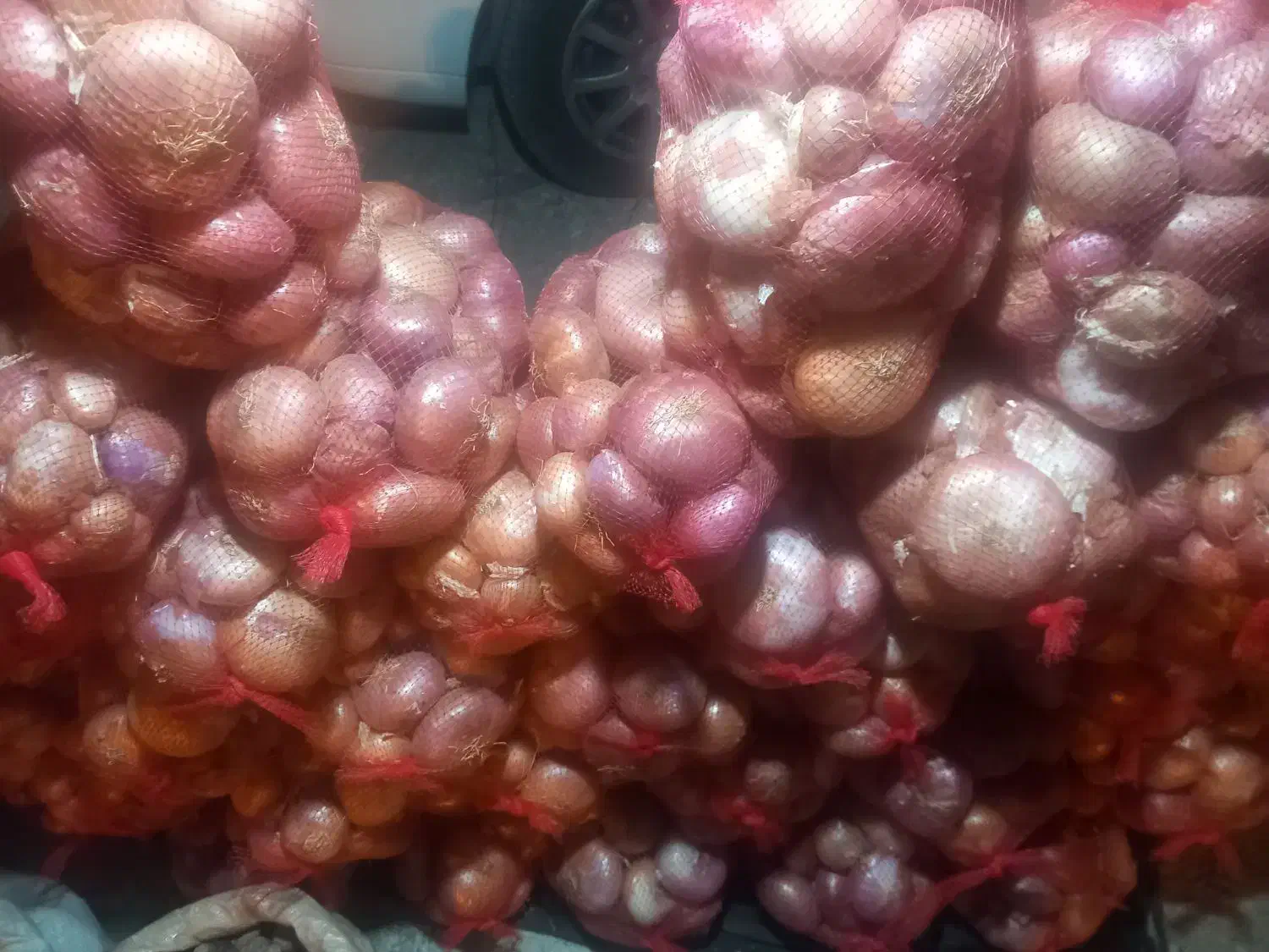 پیاز محلی سپیدان .|حراج|اهرم, |دیوار