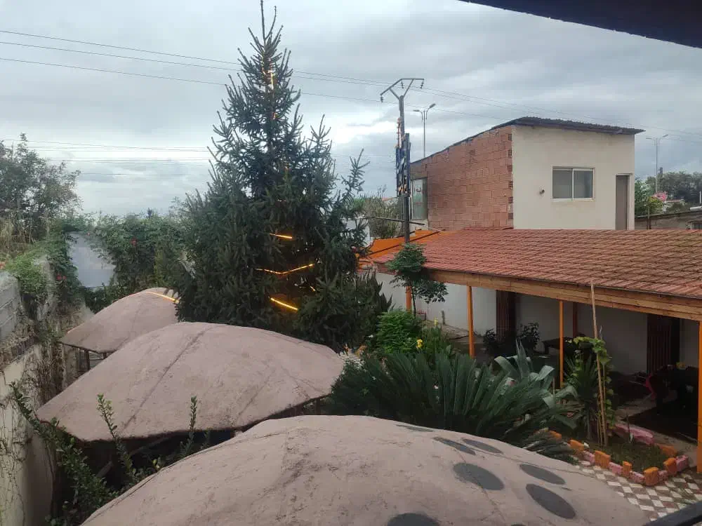 اجاره رستوران|اجارهٔ مغازه و غرفه|آکند, |دیوار