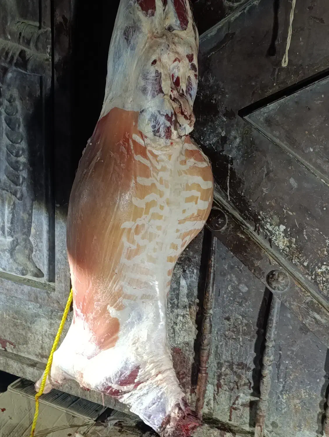 بره نر|حیوانات مزرعه|کرج, فاز ۴ مهرشهر|دیوار