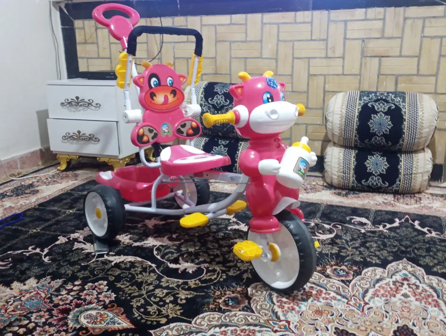 دوچرخه کودک|دوچرخه، اسکیت، اسکوتر|یاسوج, |دیوار