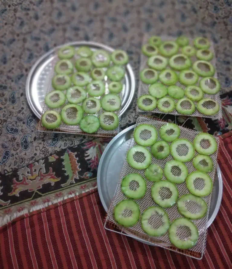 میوه خشک کن گازی برقی|ماشینآلات صنعتی|اصفهان, برزان|دیوار