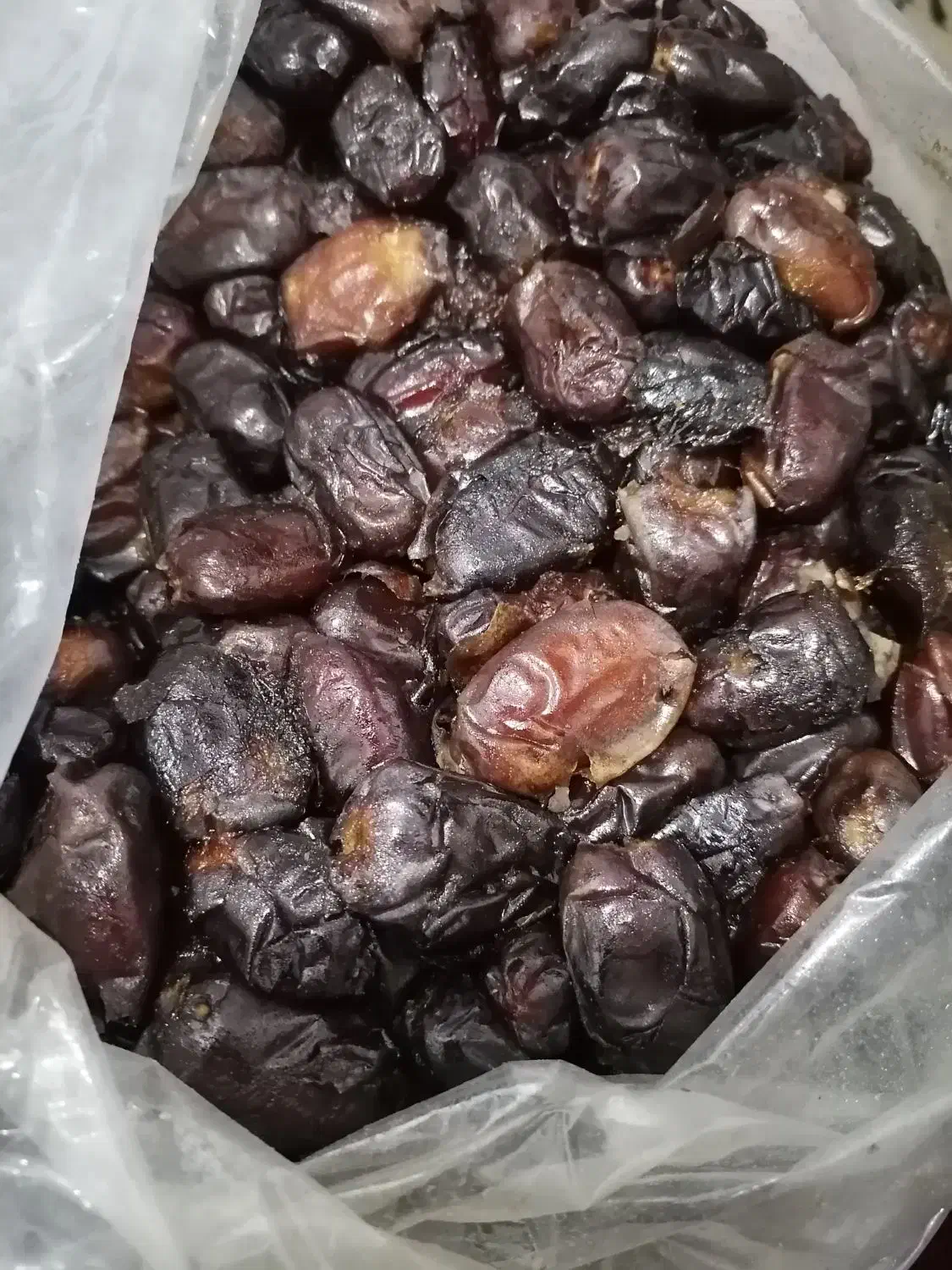 خرما مزویی و شیرخرما|خوردنی و آشامیدنی|لامرد, |دیوار