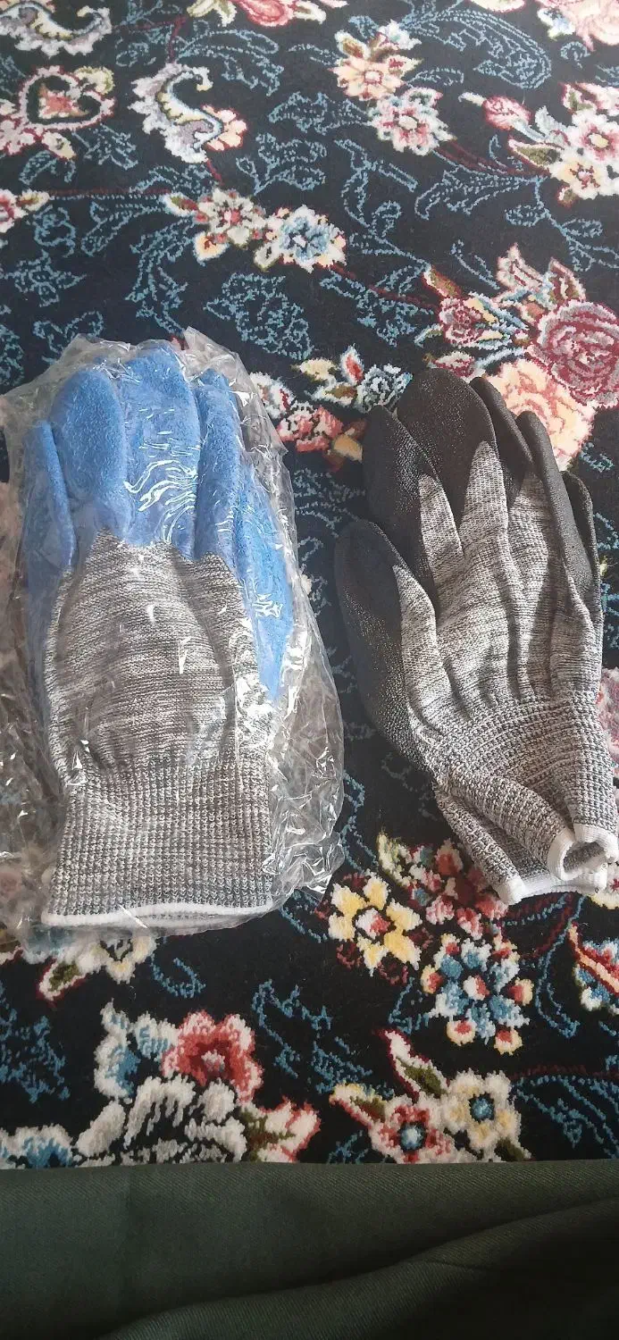 دست کش|لباس|سروآباد, |دیوار