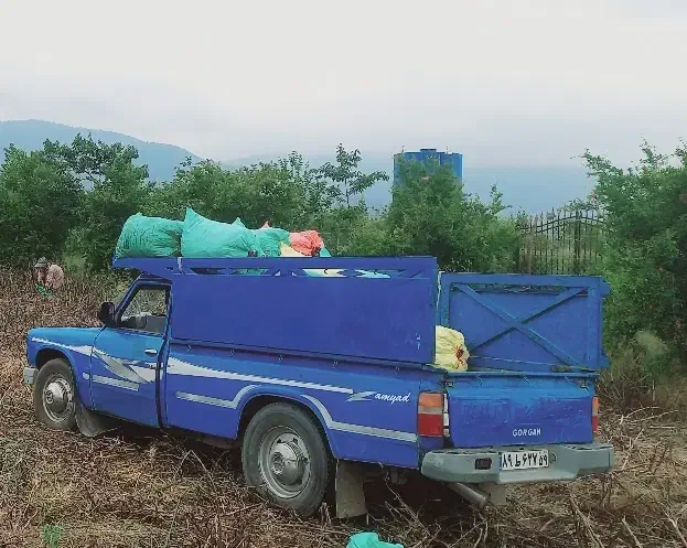 نیسان دوگانه سوز|خودرو سواری و وانت|گرگان, |دیوار