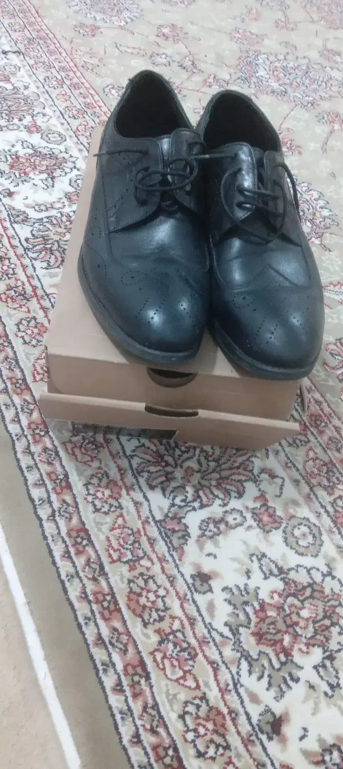 کفش مردانه|کیف، کفش، کمربند|محمدشهر, علی آباد گونه|دیوار