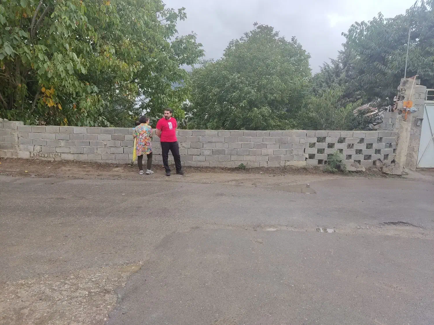 زمین|فروش زمین و ملک کلنگی|آلاشت, |دیوار