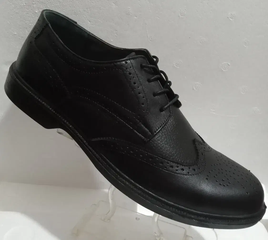 کفش مردانه....بزرگ پا|کیف، کفش، کمربند|بندر انزلی, معلم|دیوار