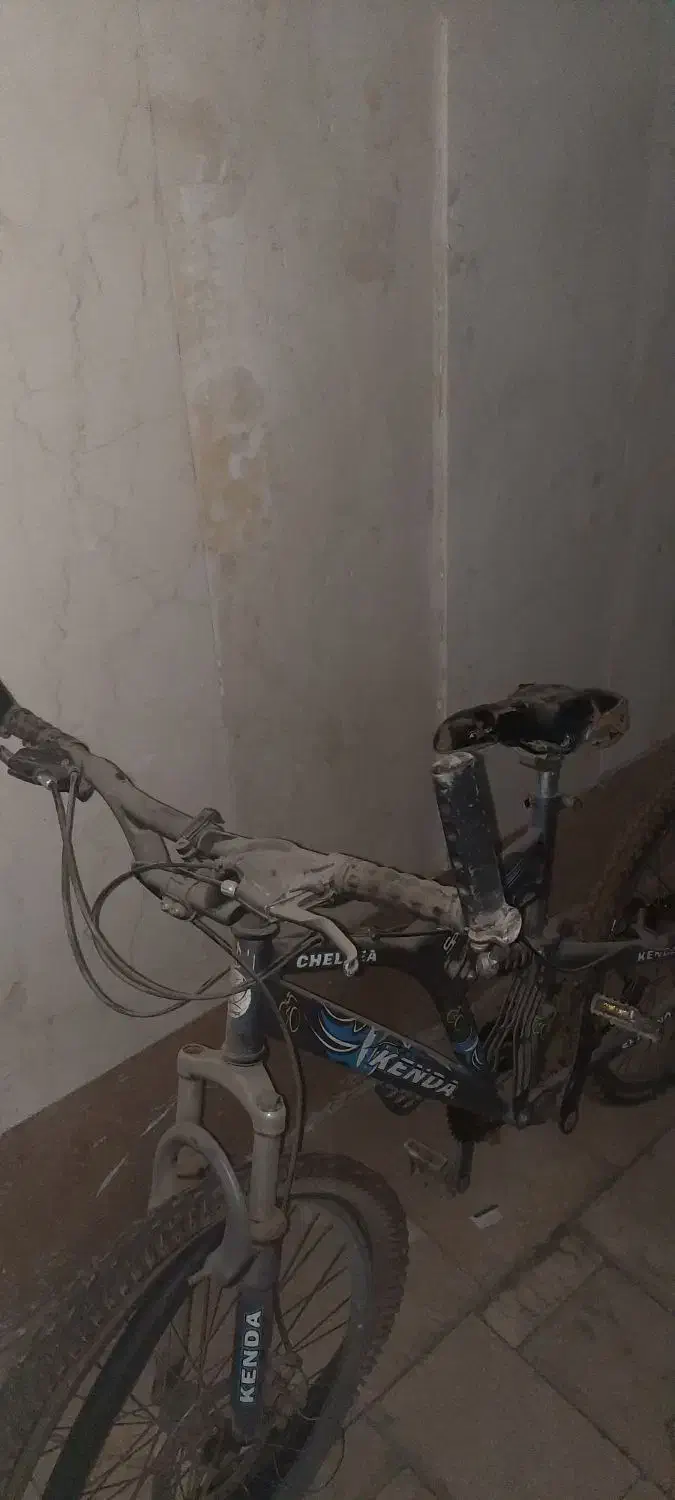 دوچرخه ۲۴ سالم|دوچرخه، اسکیت، اسکوتر|ری, دیلمان|دیوار