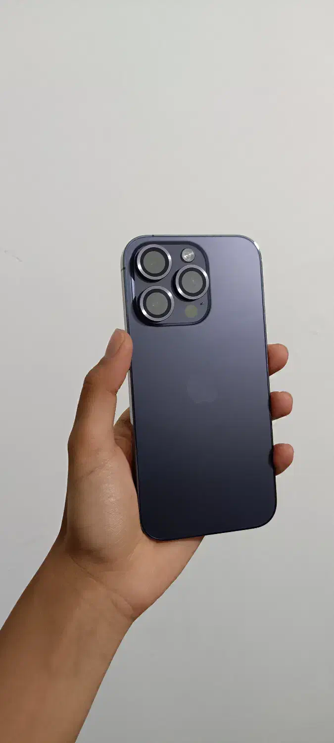 ایفون ۱۴پرو|موبایل|شیراز, گل سرخ|دیوار