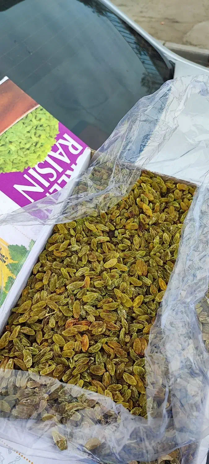 کشمش سبز قلمی ممتاز کاشمر|خوردنی و آشامیدنی|کاشمر, |دیوار