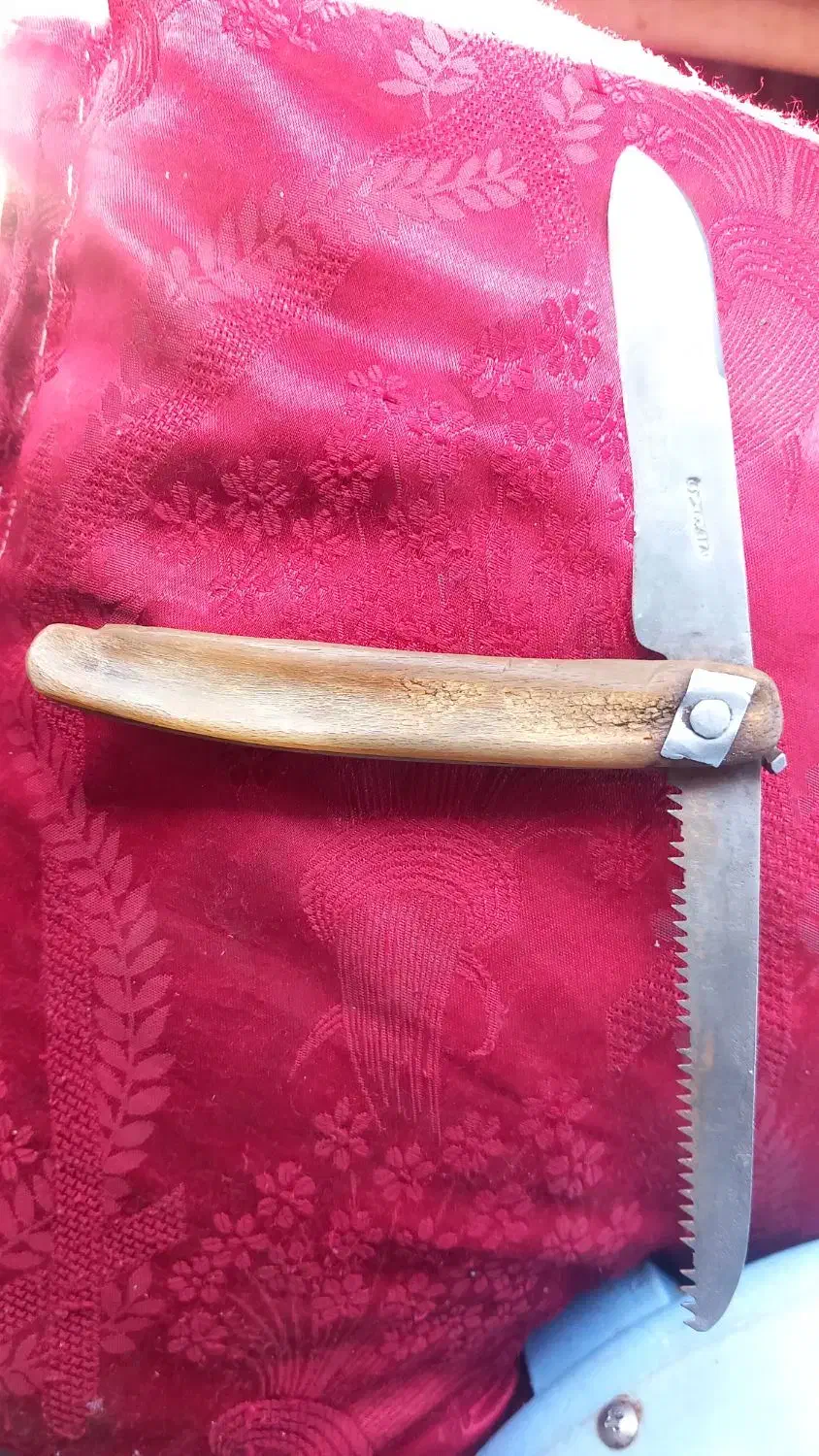 فروش یک عدد چاقو اره دسته شاخ کرگدن بسیار کمیاب|کلکسیون اشیاء عتیقه|سپیدار, |دیوار