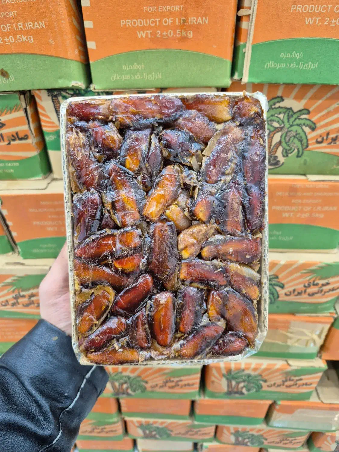 خرما شاهانی|خوردنی و آشامیدنی|قم, شهرک سازمان آب|دیوار