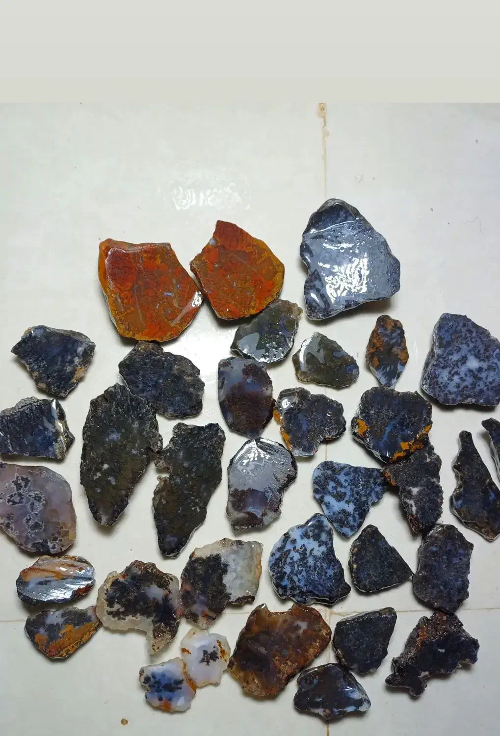 انواع سنگ شجرمشکی خراسان|کلکسیون اشیاء عتیقه|شهرکرد, |دیوار