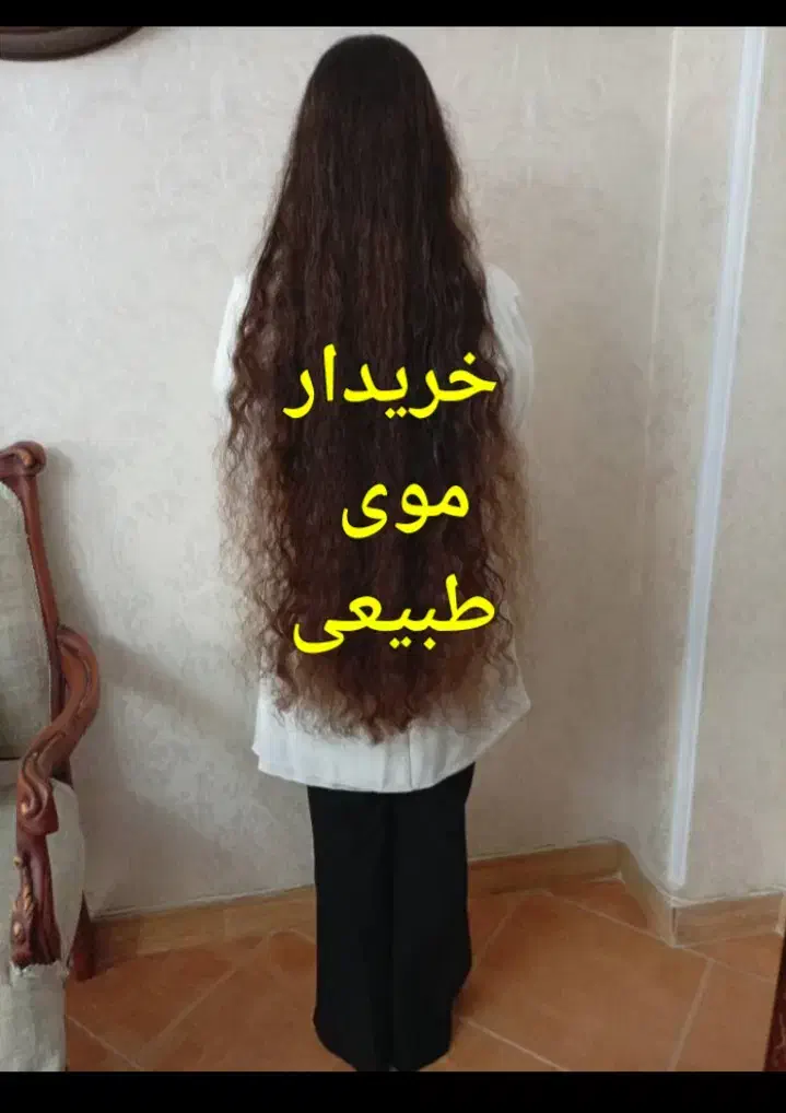 موی بانوان|آرایشی، بهداشتی، درمانی|فیروزکوه, |دیوار