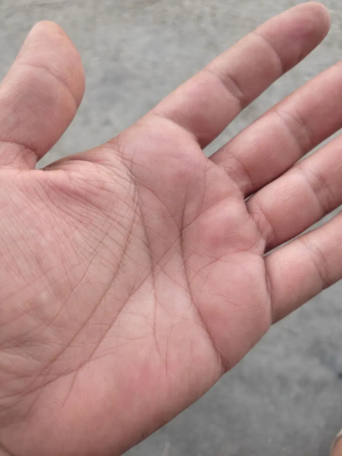 عین واقعیت|فعالیت داوطلبانه|سنندج, |دیوار