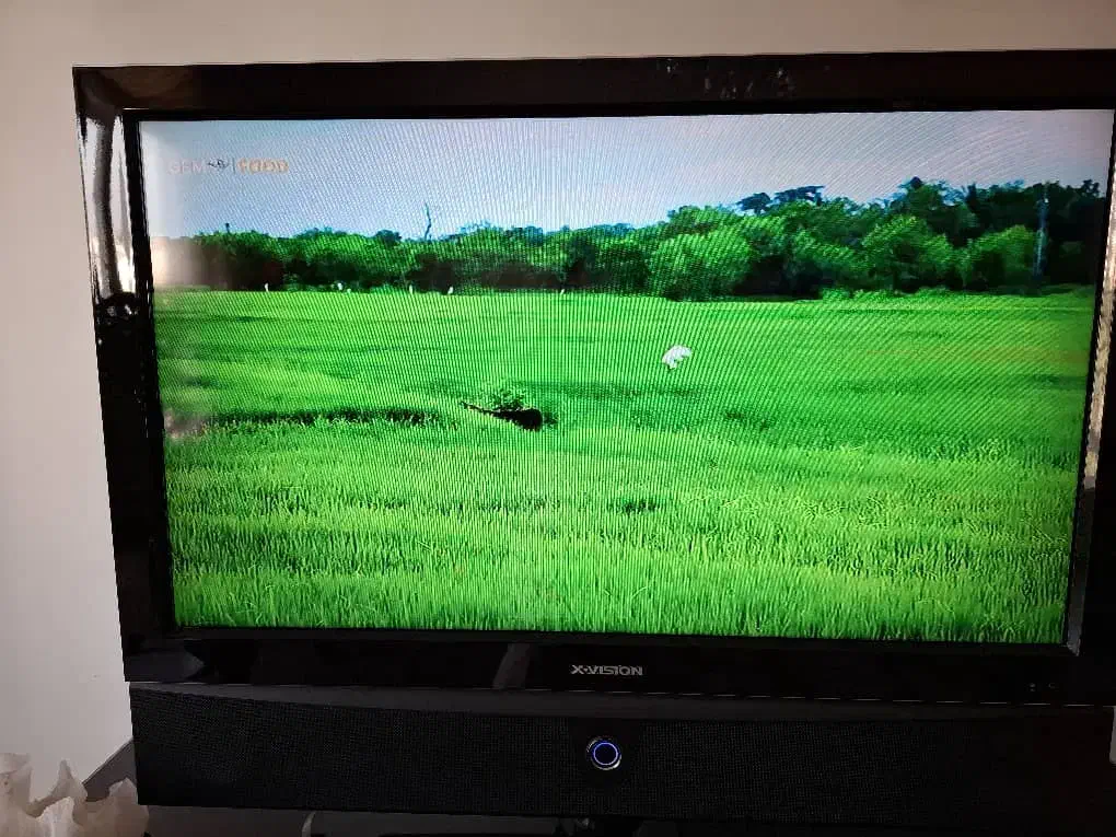 تلویزیون۴۲ اینچxویژن باند پایین تلویزیون|تلویزیون و پروژکتور|تهران, هروی|دیوار