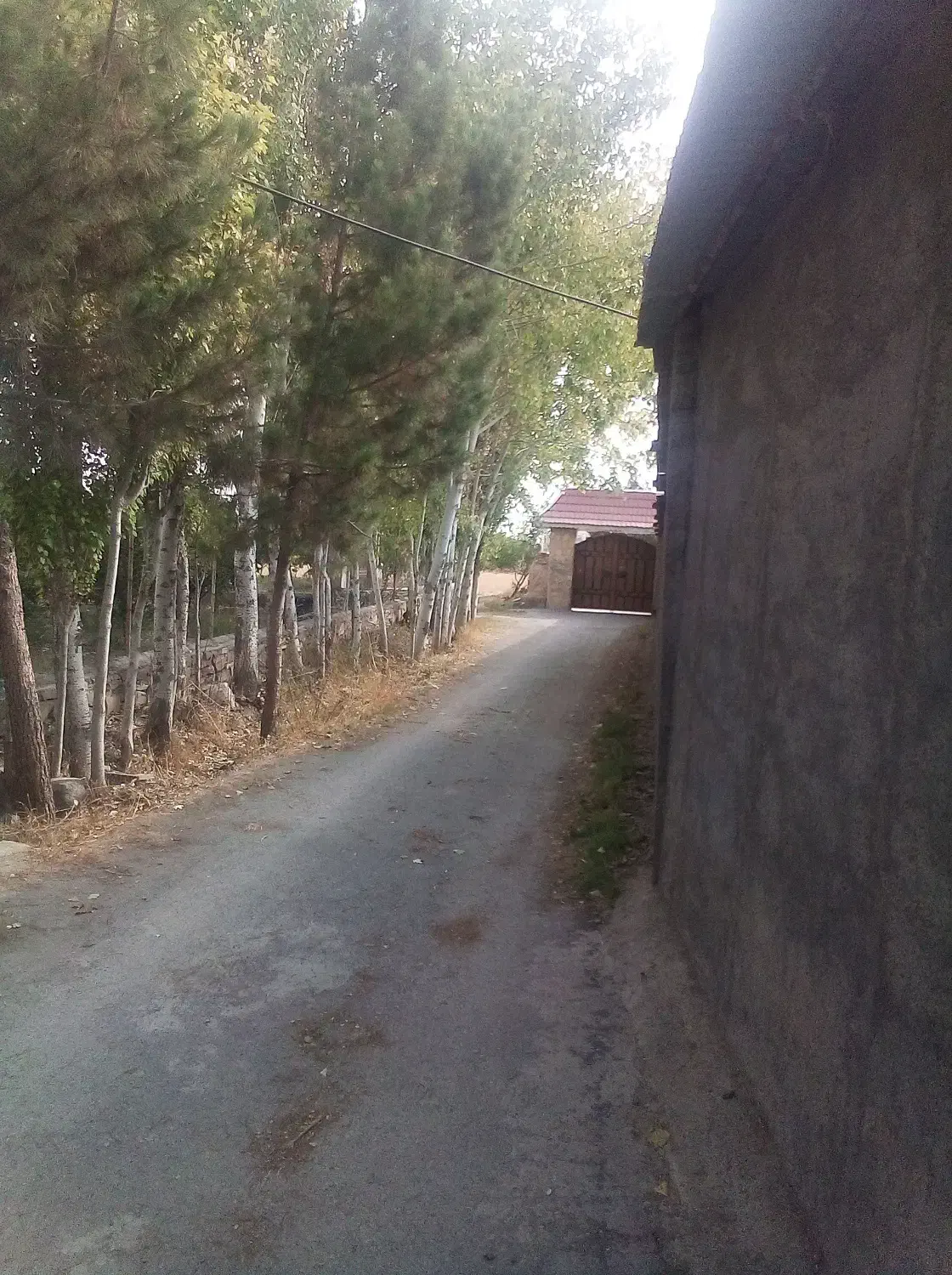 زمین 3000 متری محدوده گلبهار|فروش زمین و ملک کلنگی|گلبهار, نوبهار|دیوار