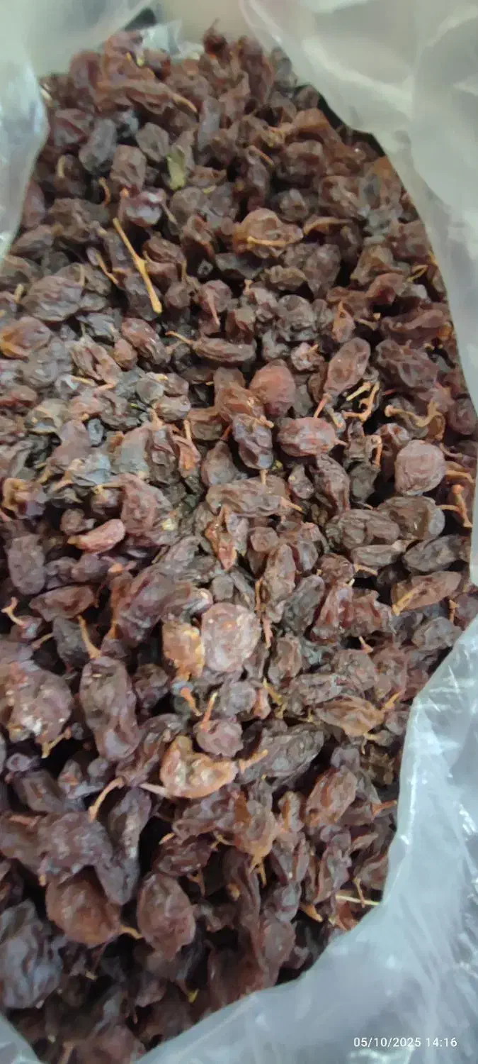 مویز آفتاب خشک|خوردنی و آشامیدنی|کوار, |دیوار