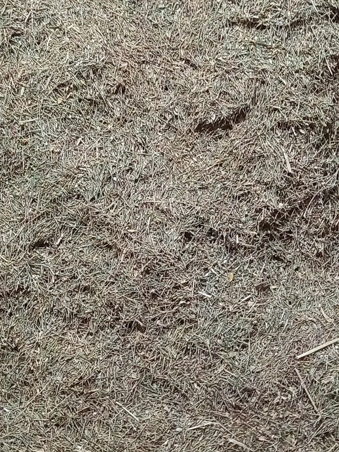 خار کوبید|لوازم جانبی حیوانات|پائین جام, |دیوار