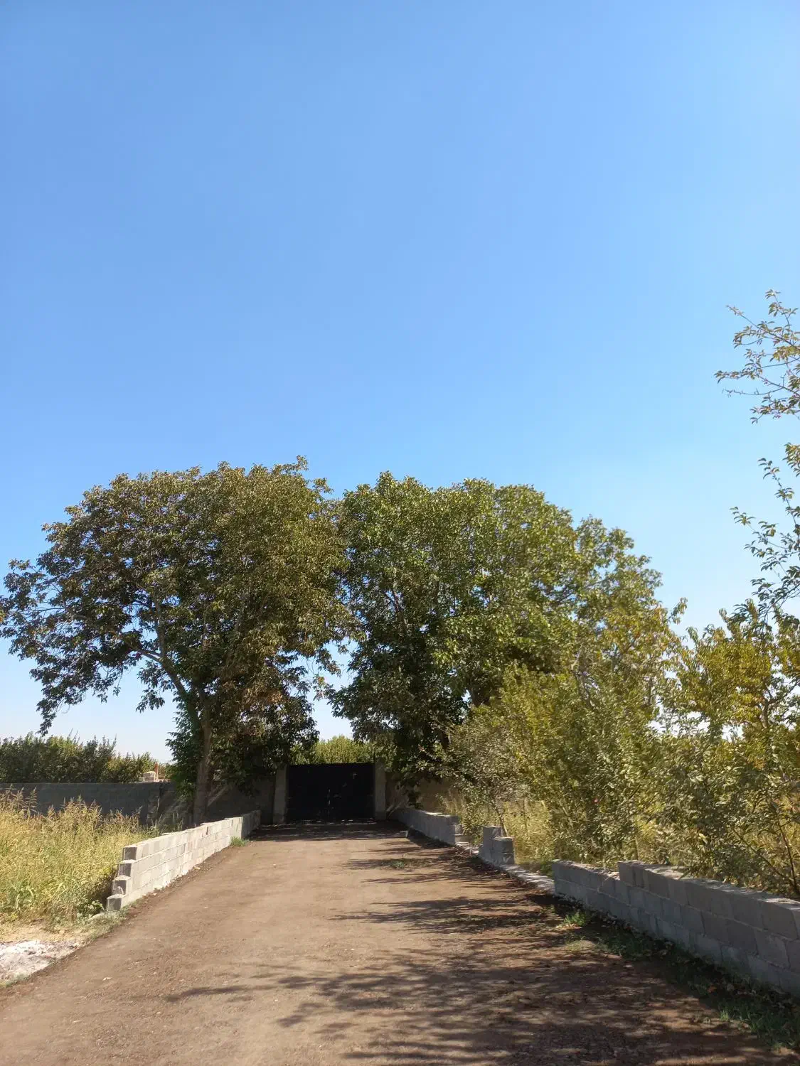 زمین /شهرکی /چهاردیواری ۶۰۰م  تهراندشت /سرخاب|فروش زمین و ملک کلنگی|هشتگرد, تهران دشت|دیوار