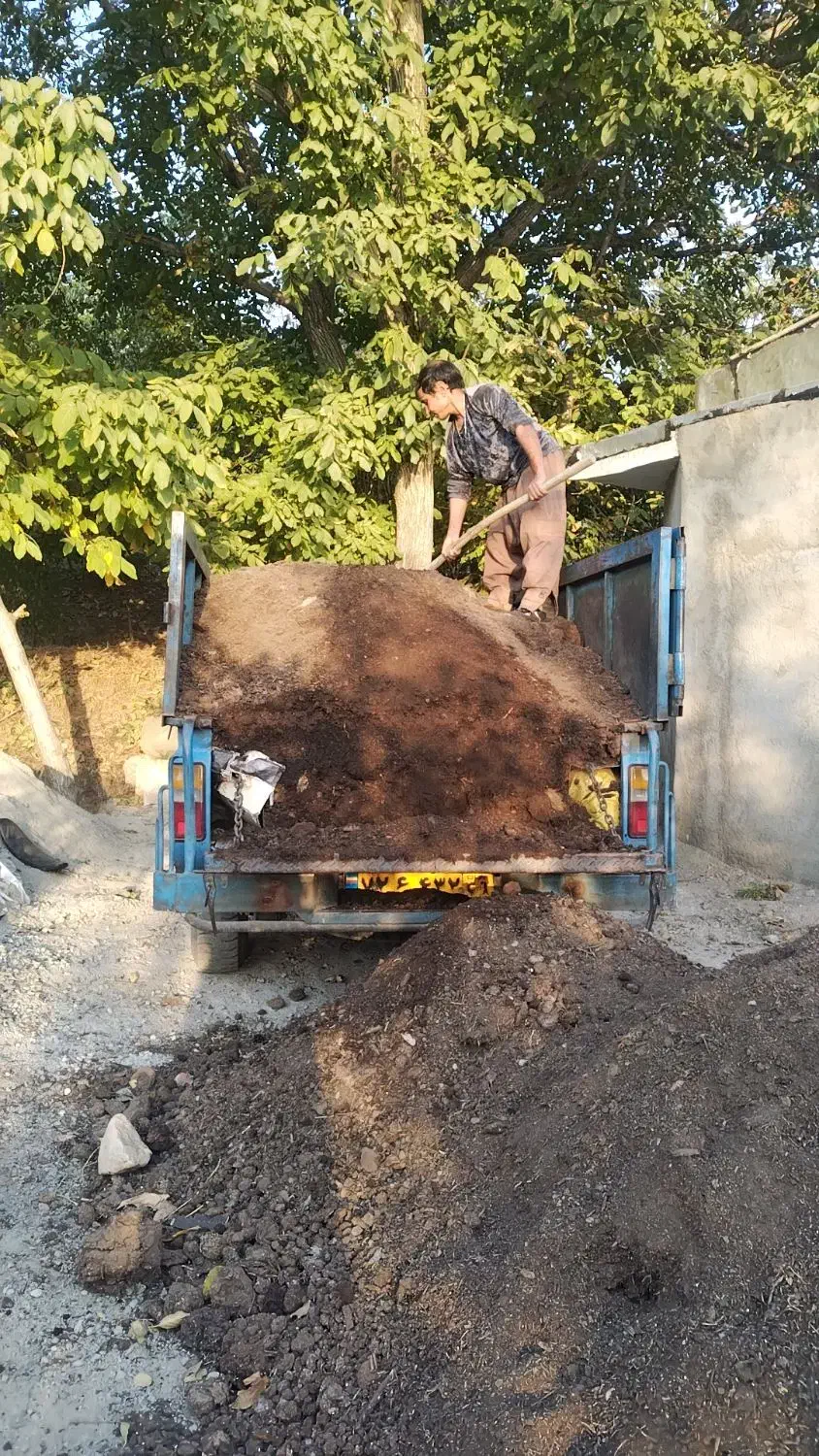 پخش  کود حیوانی  باغبانی|خدمات باغبانی و درختکاری|هشتگرد, تهران دشت|دیوار