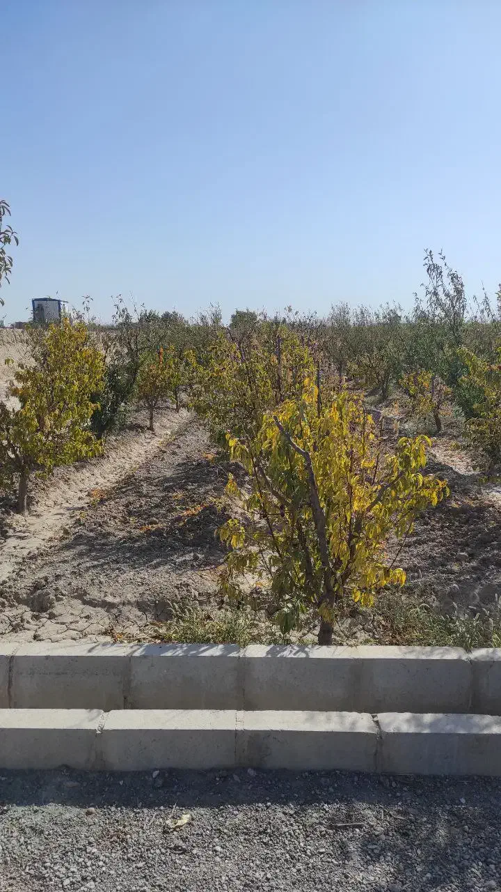زمین باغ باغچه شهریار خادم اباد ۵۰۰ متری فوری|فروش زمین و ملک کلنگی|شهریار, رزکان|دیوار
