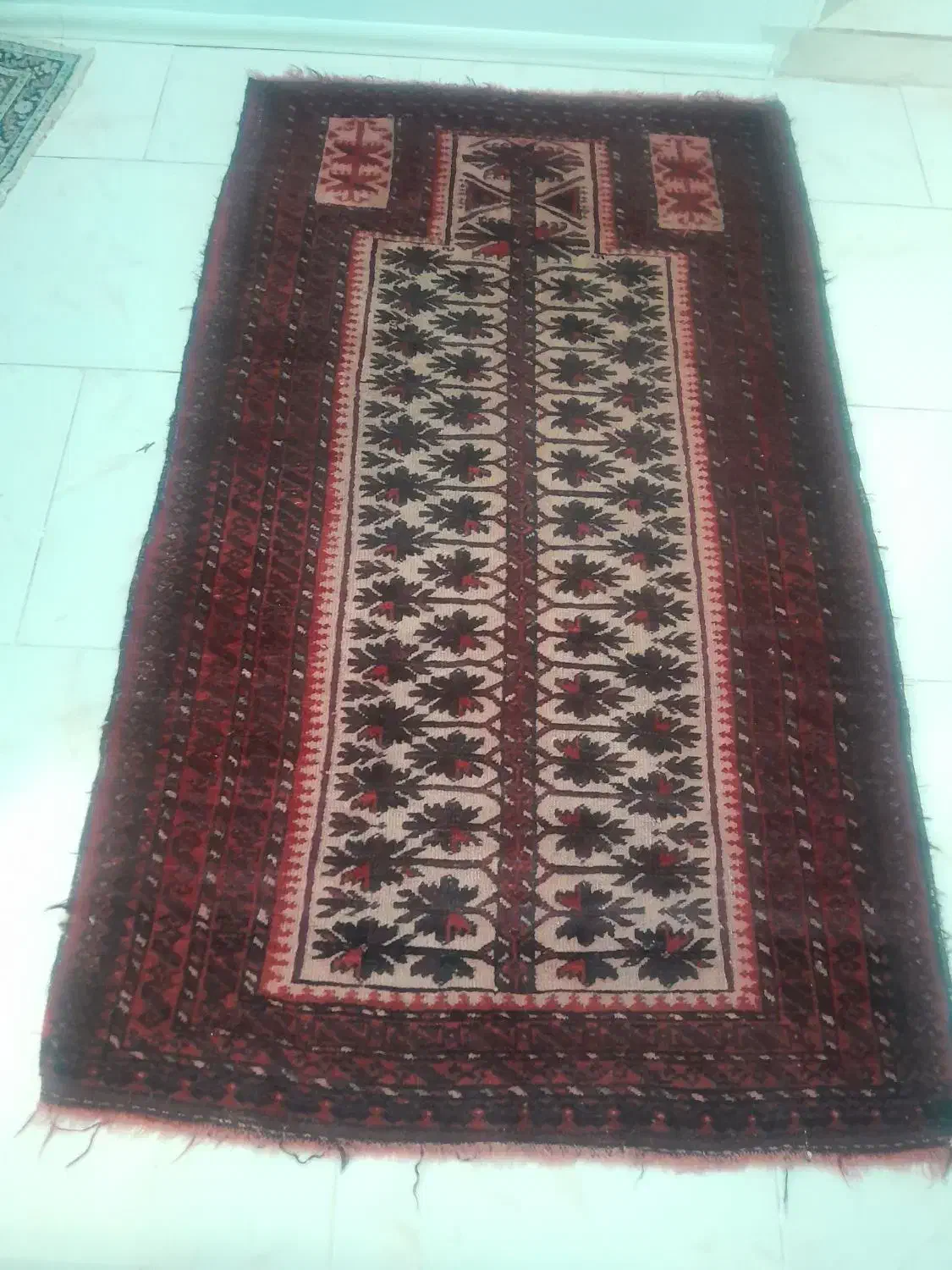 خانه آشپزخانه فرش گلیم موکت|فرش|پردیس, فاز ۱۱|دیوار