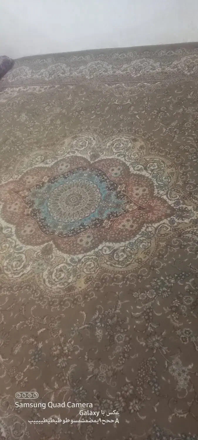 فرش ۷۰۰ شانه ۹ متری|فرش|کلاله, |دیوار