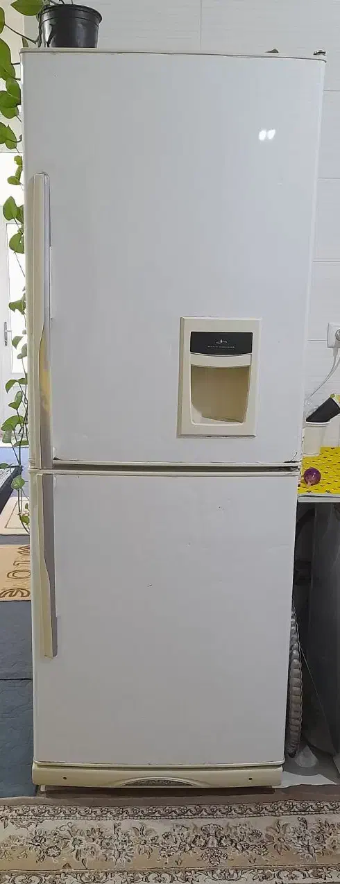 یخچال فریزر سالم|یخچال و فریزر|زنجان, |دیوار