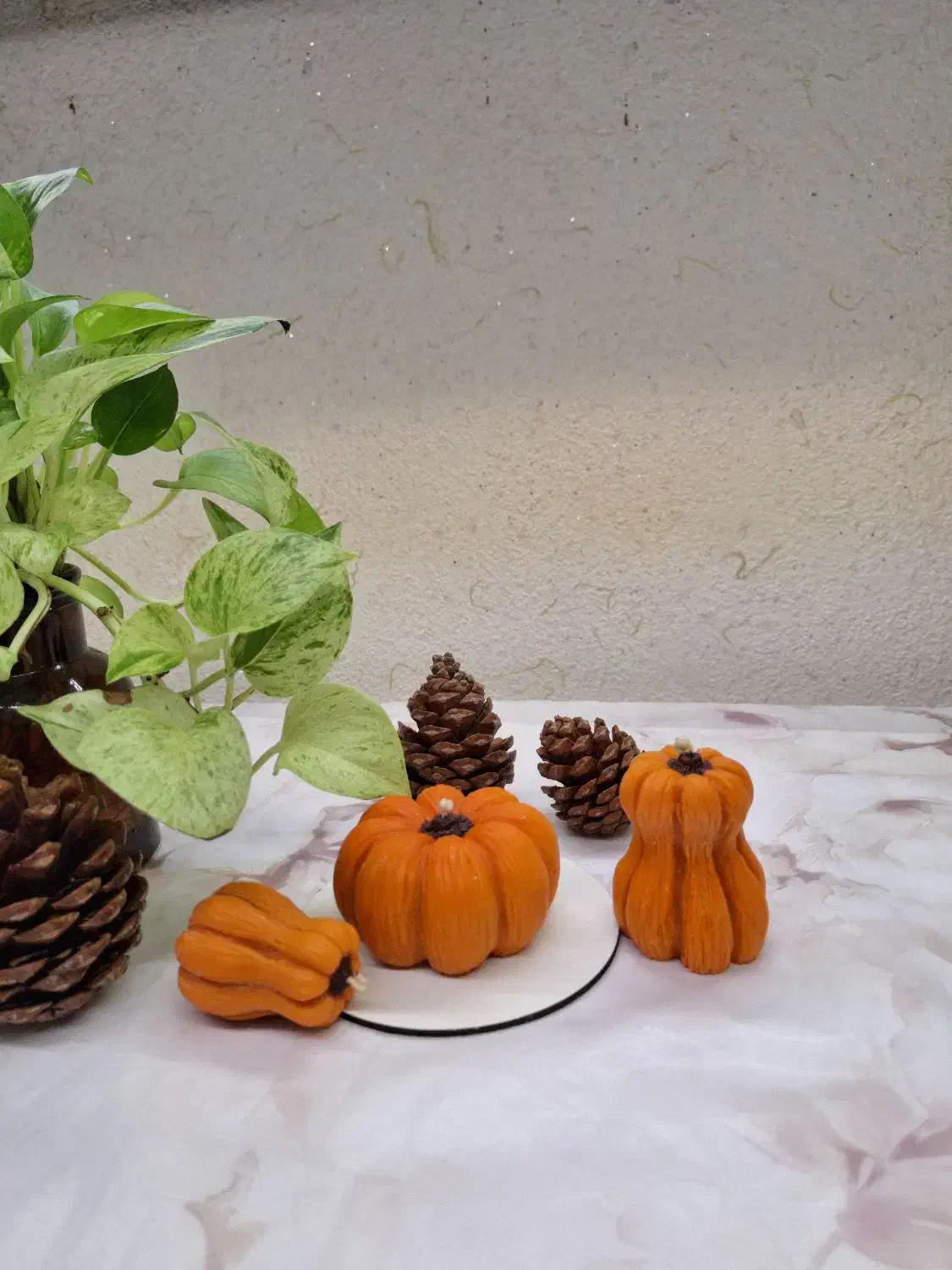 انواع شمع دستساز و دکور|صنایع دستی و سایر لوازم تزئینی|رشت, سلیمانداراب|دیوار